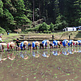 Img_0633