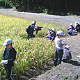 Dscf0062